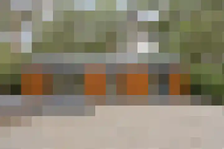 Stiphoutseweg 1 Lieshout thumbnail 4