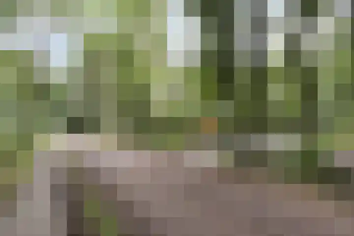 Stiphoutseweg 1 Lieshout thumbnail 6