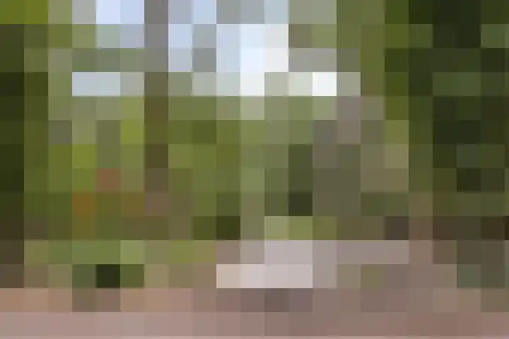 Stiphoutseweg 1 Lieshout thumbnail 7