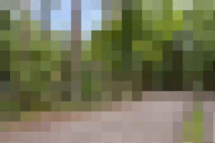 Stiphoutseweg 1 Lieshout thumbnail 8