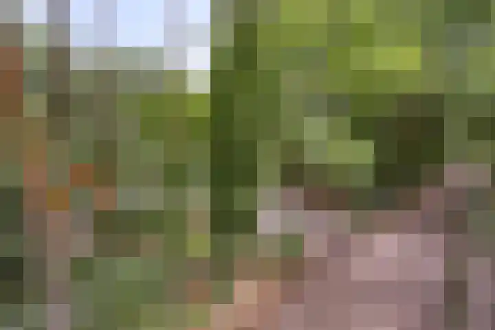 Stiphoutseweg 1 Lieshout thumbnail 9