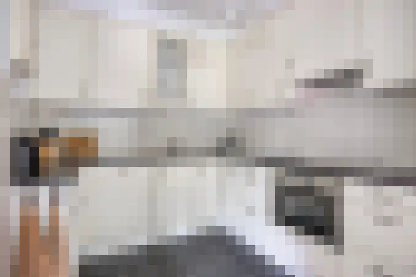 Stippent 9 Ledeacker thumbnail 10