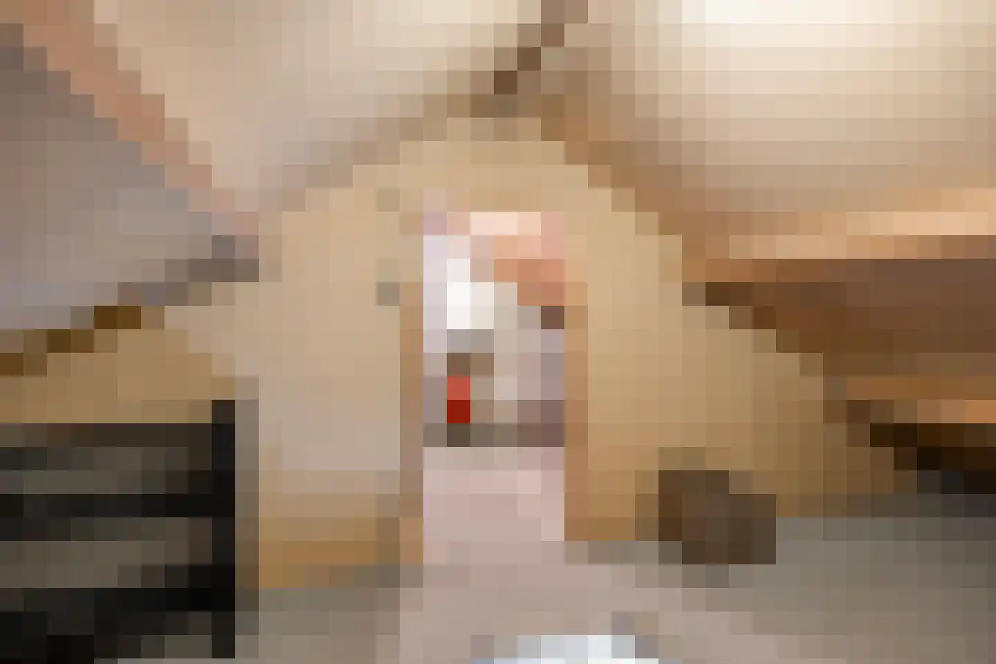 Stippent 9 Ledeacker thumbnail 20
