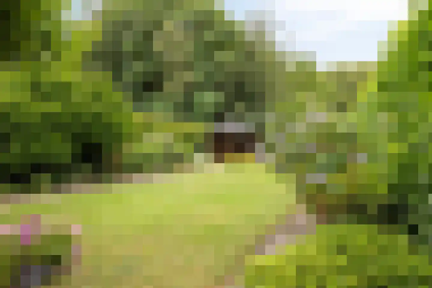 Stippent 9 Ledeacker thumbnail 21
