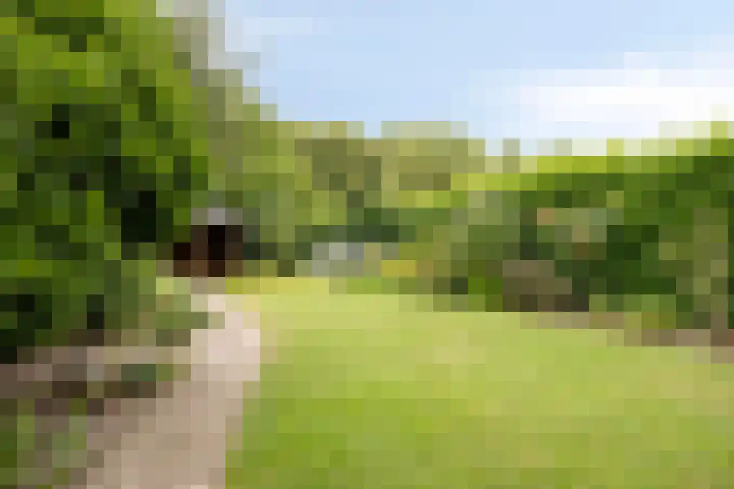 Stippent 9 Ledeacker thumbnail 22