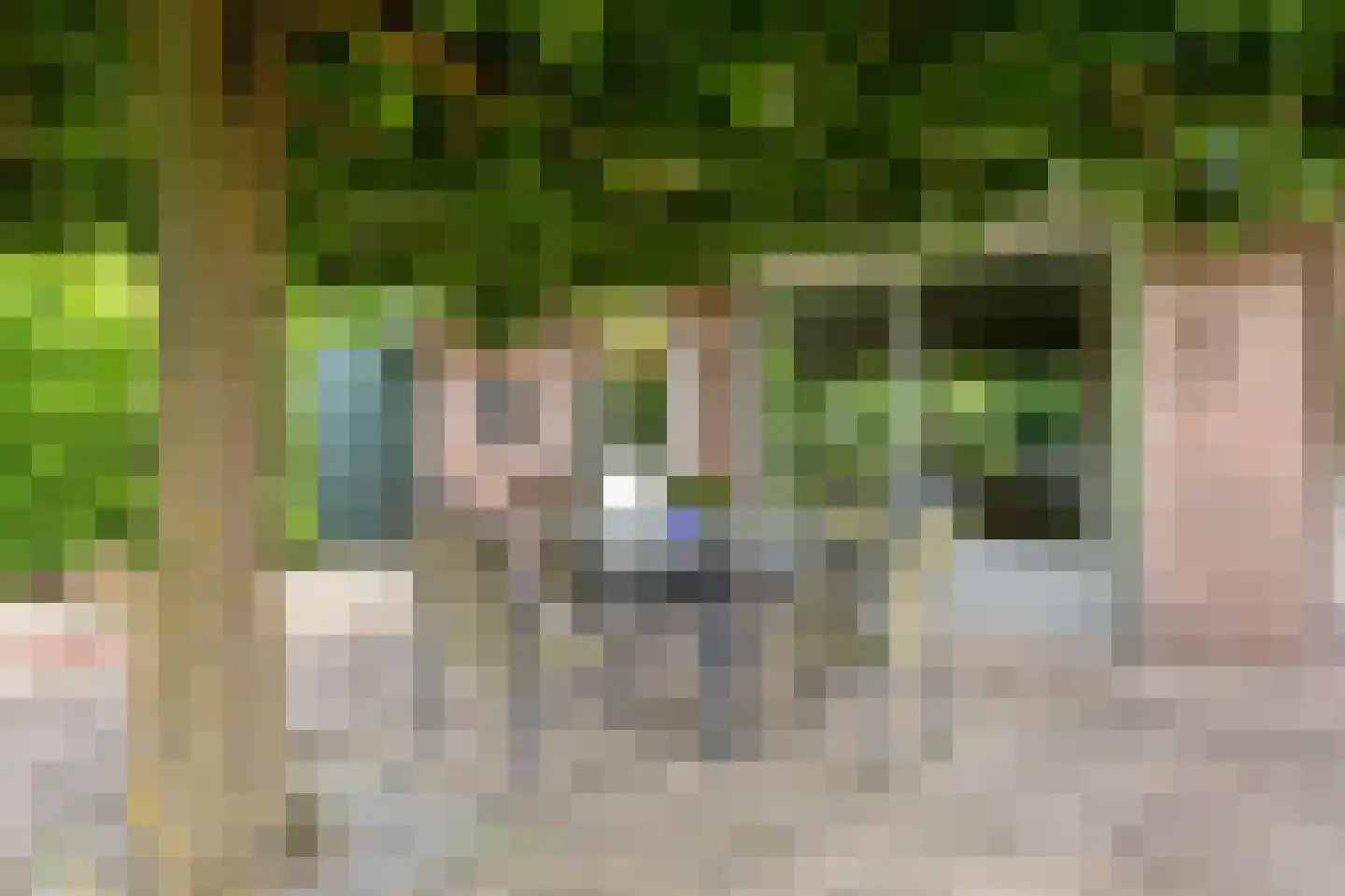 Stippent 9 Ledeacker thumbnail 23