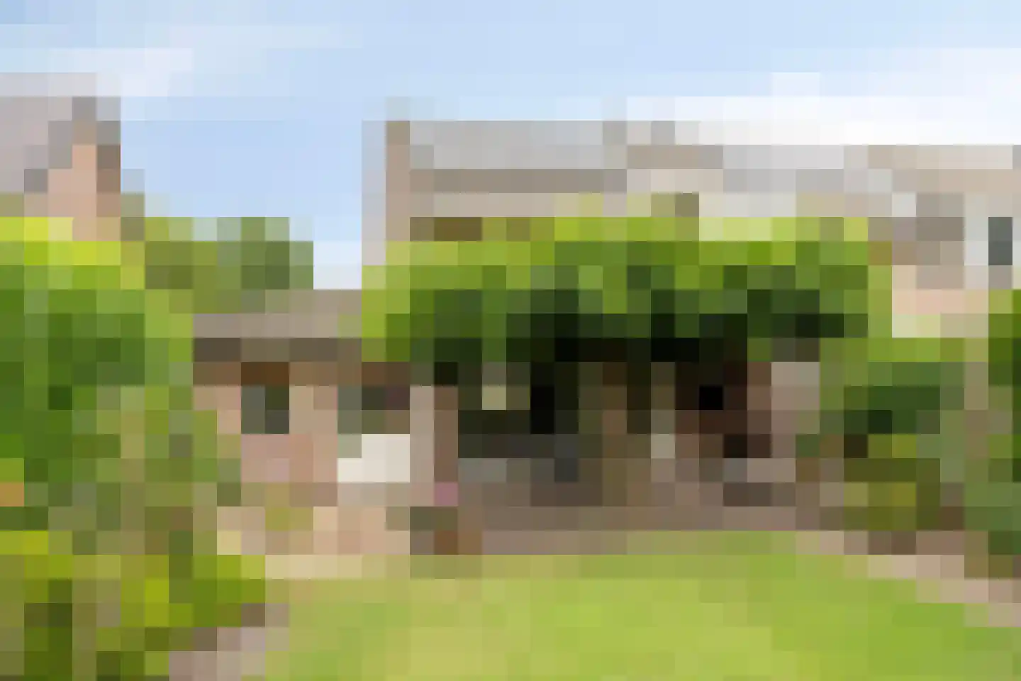 Stippent 9 Ledeacker thumbnail 25