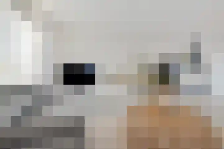 Stjoerboard 7 Joure thumbnail 13