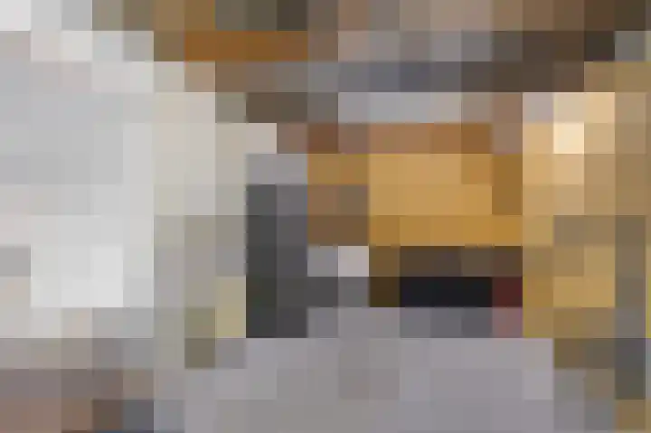 Stjoerboard 7 Joure thumbnail 26