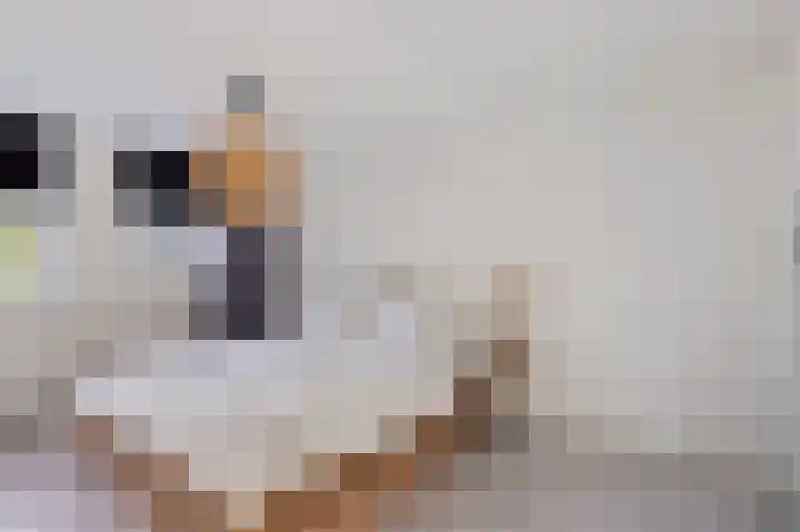 Stjoerboard 7 Joure thumbnail 28