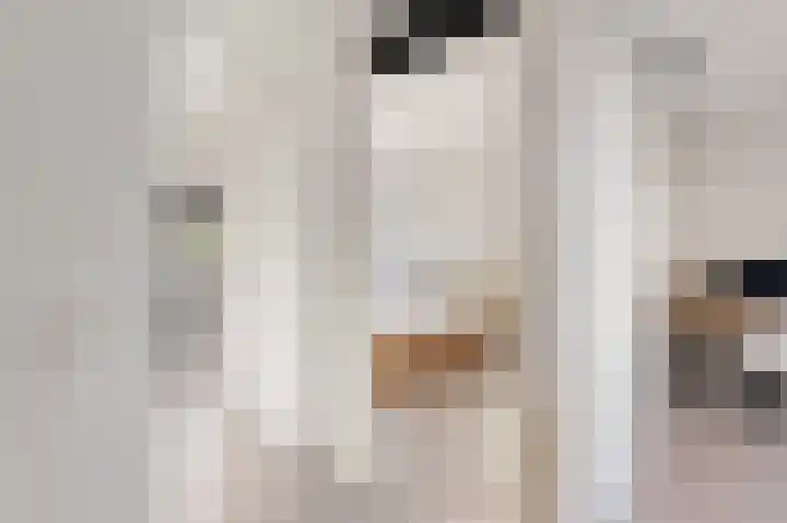 Stjoerboard 7 Joure thumbnail 29