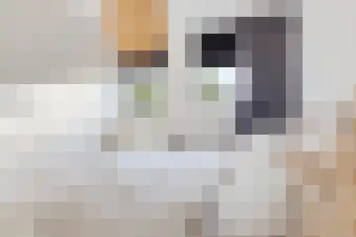 Stjoerboard 7 Joure thumbnail 32