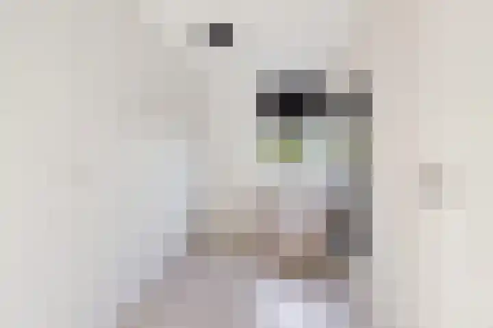 Stjoerboard 7 Joure thumbnail 33