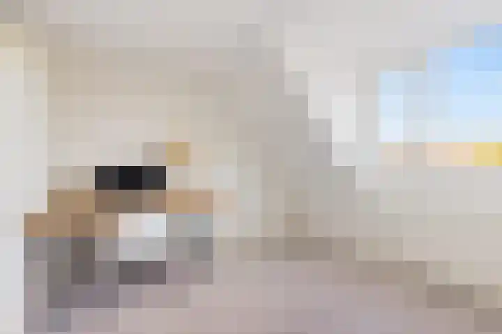 Stjoerboard 7 Joure thumbnail 35