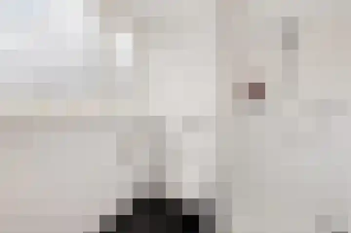 Stjoerboard 7 Joure thumbnail 37