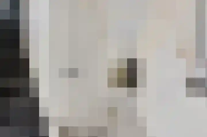 Stjoerboard 7 Joure thumbnail 7