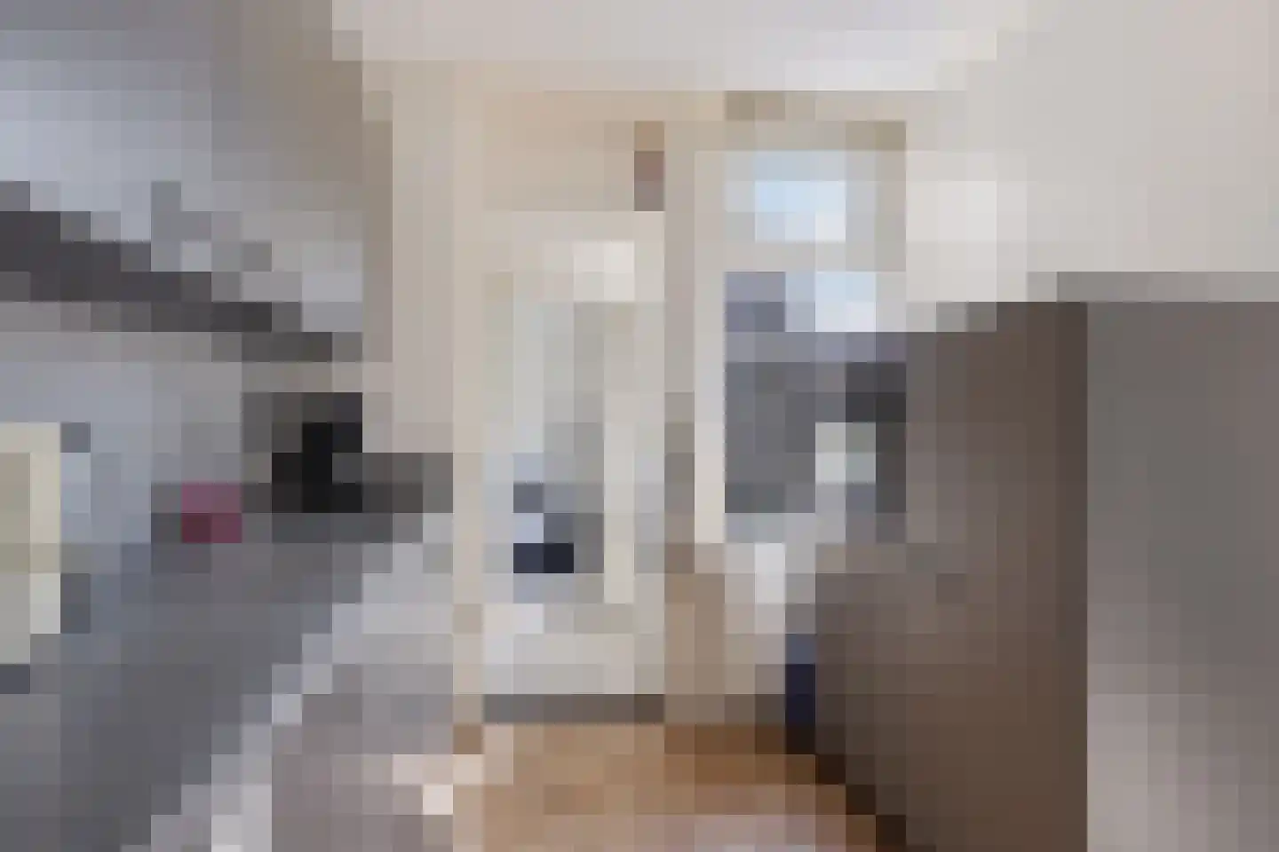 Stjûrmanstún 15 Hallum thumbnail 11