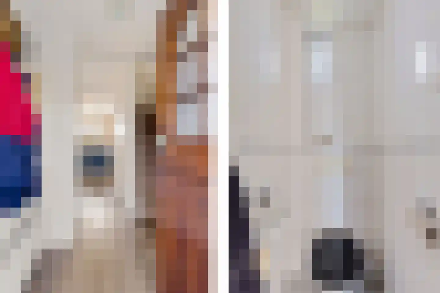 Stjûrmanstún 15 Hallum thumbnail 15
