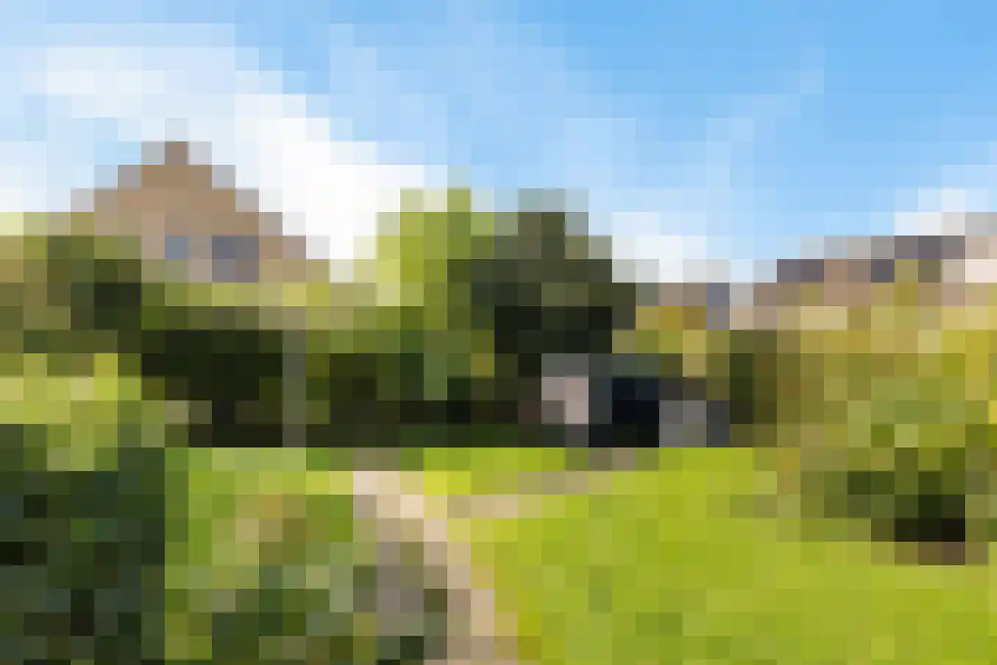 Stjûrmanstún 15 Hallum thumbnail 34