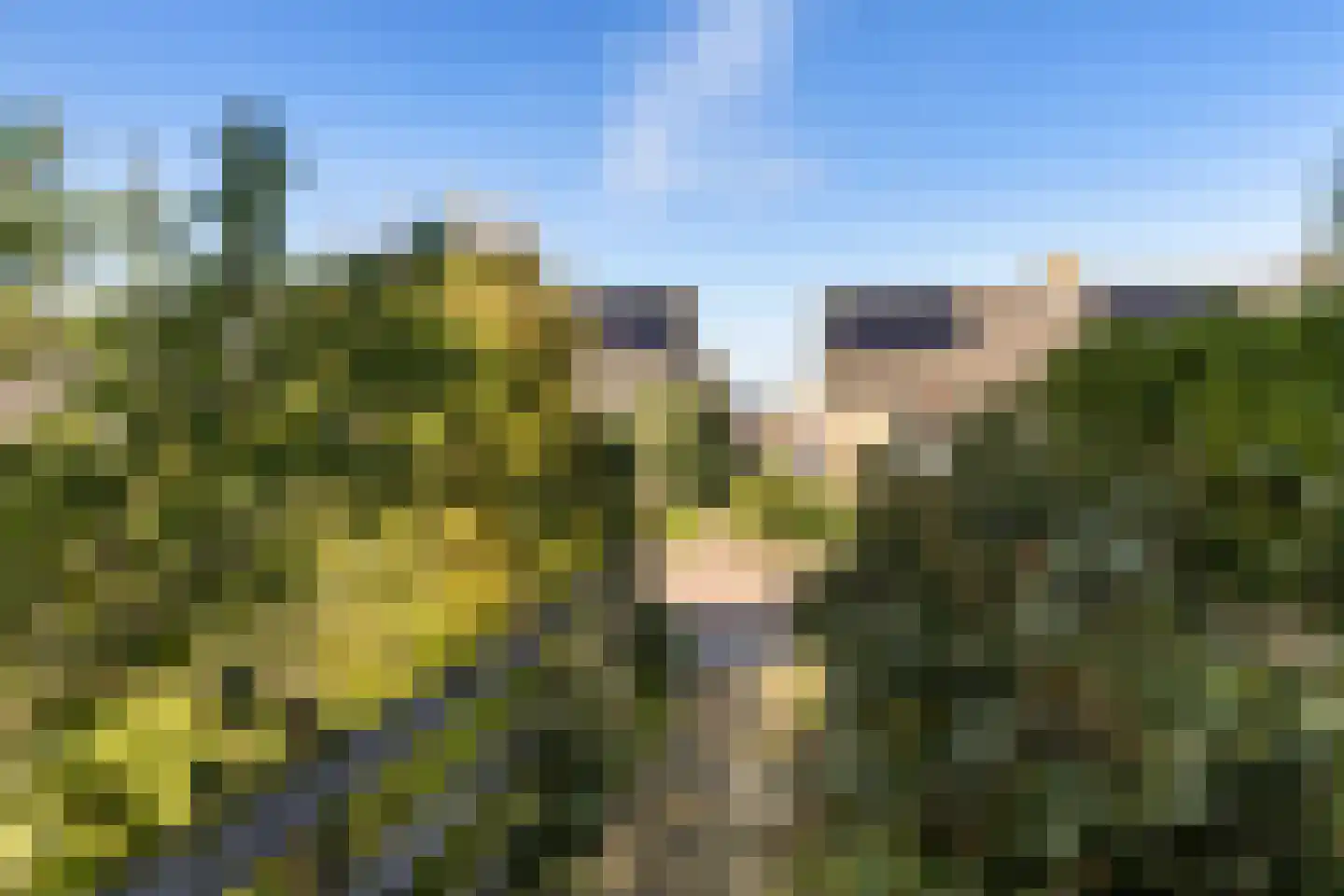 Stjûrmanstún 15 Hallum thumbnail 37
