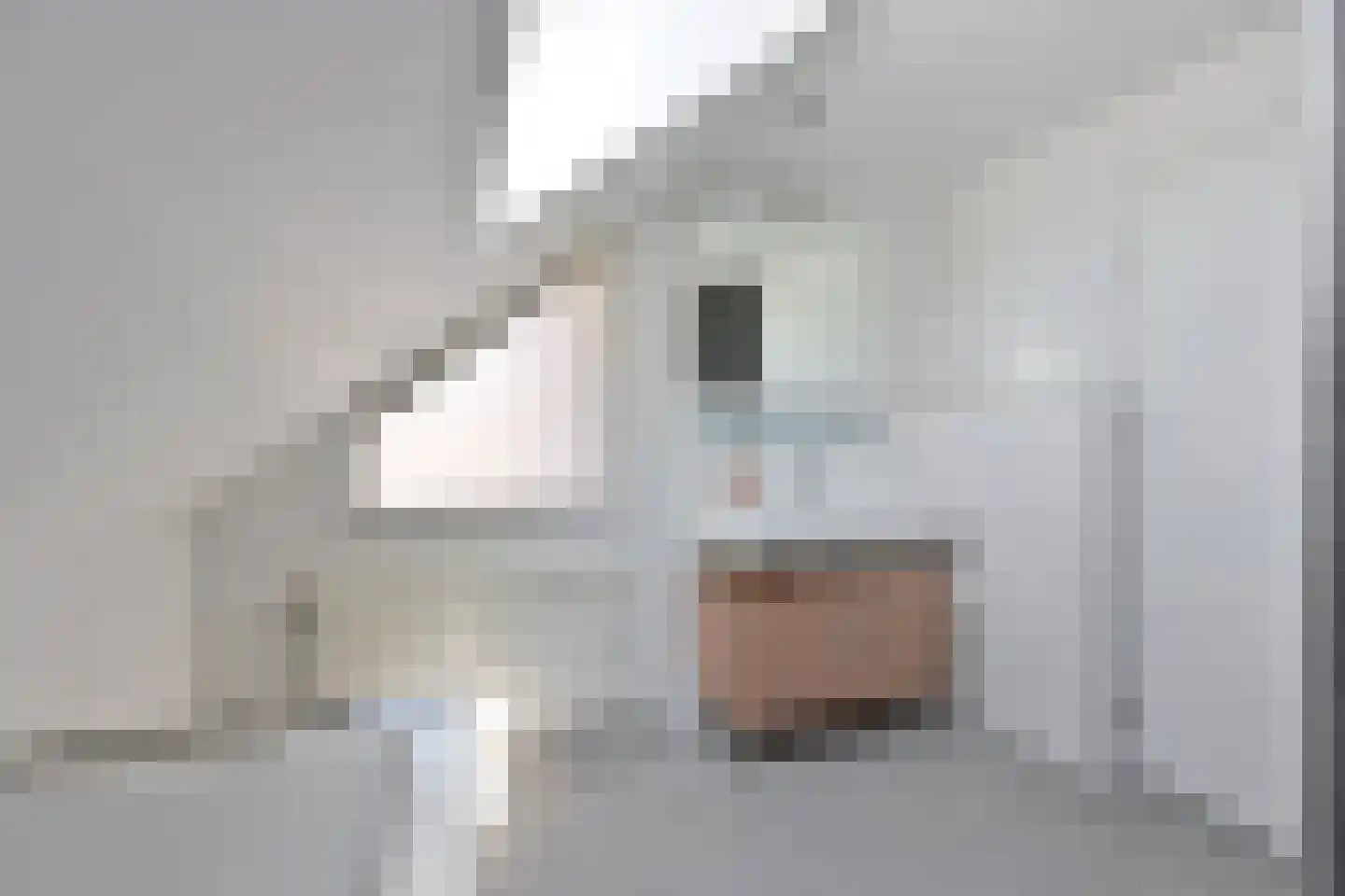 Stobbe 21 Blaricum thumbnail 12