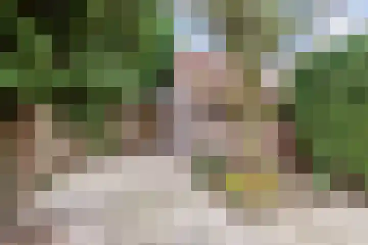 Stobbe 81 Huizen thumbnail 18