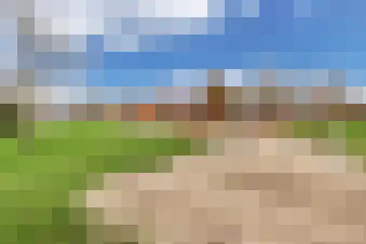 Stobbe 81 Huizen thumbnail 20