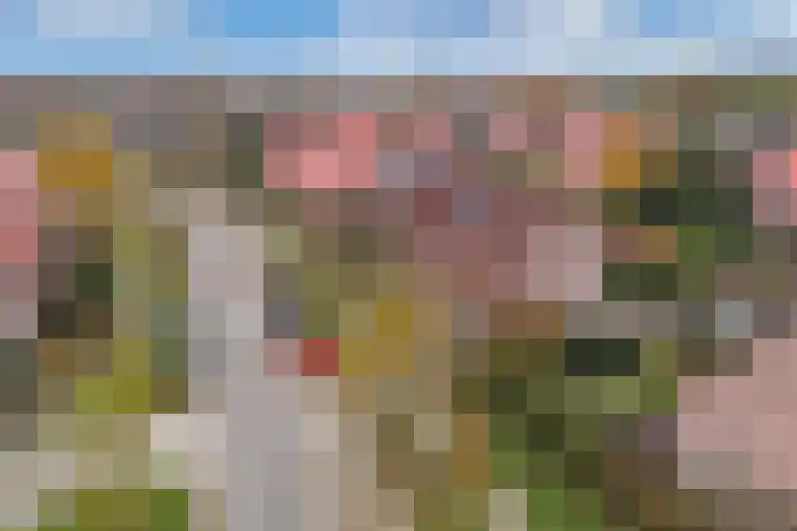 Stobbe 81 Huizen thumbnail 21