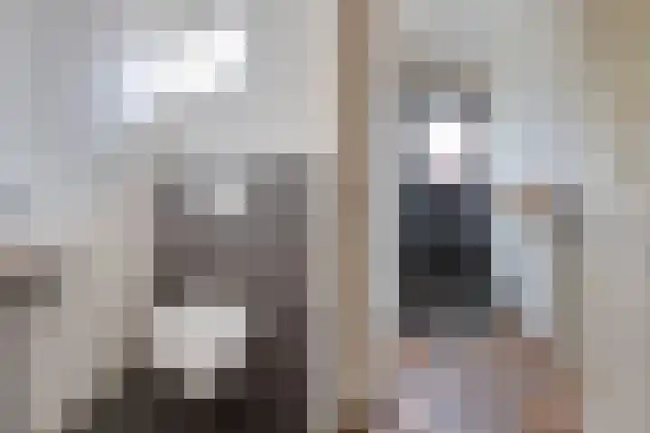 Stobbe 81 Huizen thumbnail 4