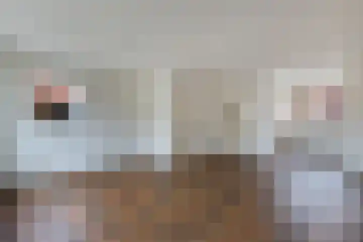 Stobbe 81 Huizen thumbnail 5