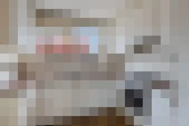 Stobbe 81 Huizen thumbnail 6