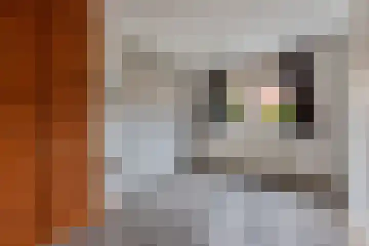 Stobbe 81 Huizen thumbnail 9