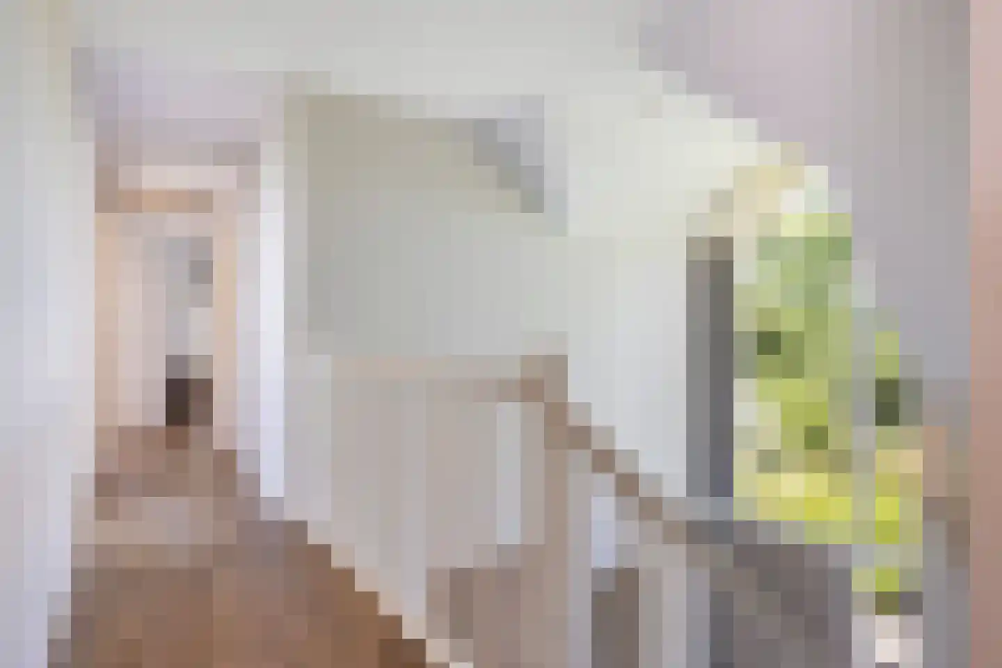 Stobbenakker 32 Twello thumbnail 23