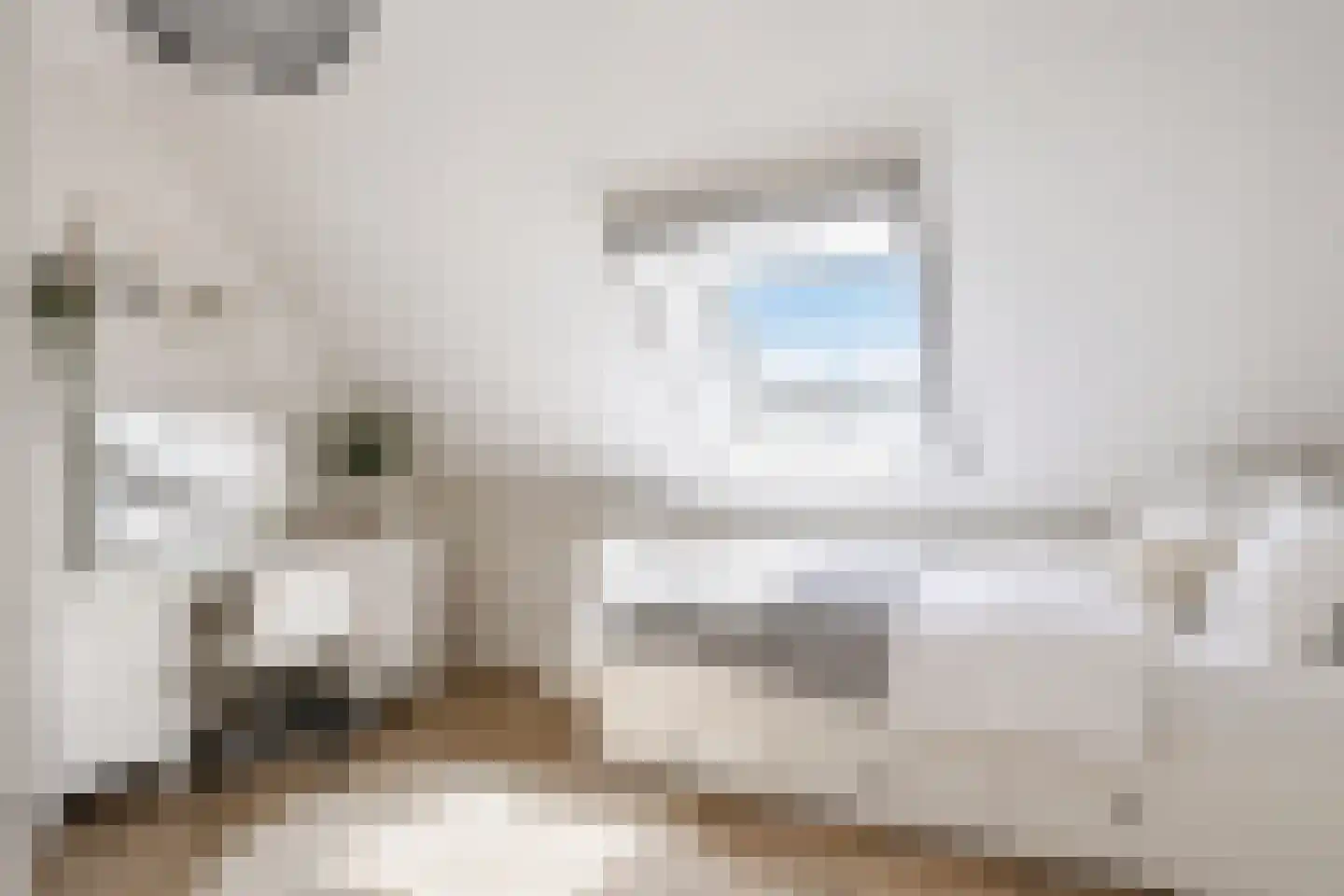 Stobbenakker 32 Twello thumbnail 28