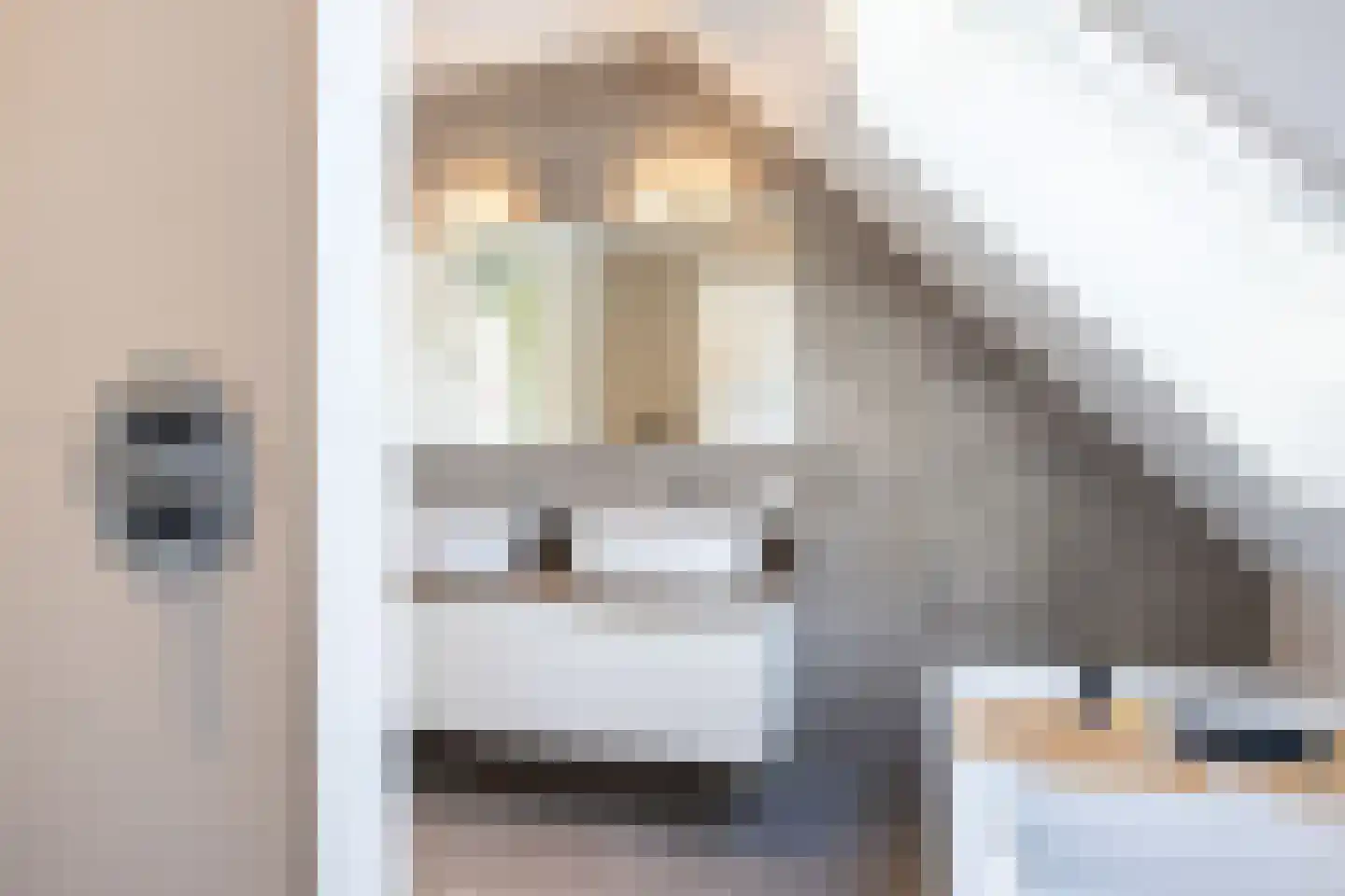 Stobbenakker 32 Twello thumbnail 32