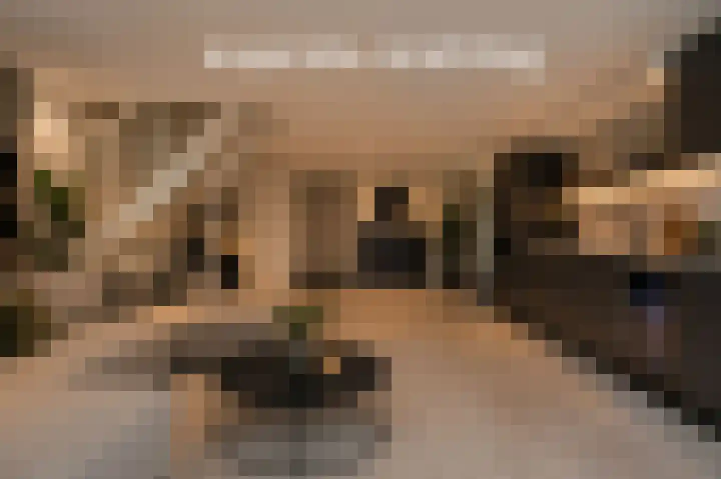 Stobbenakker 32 Twello thumbnail 38