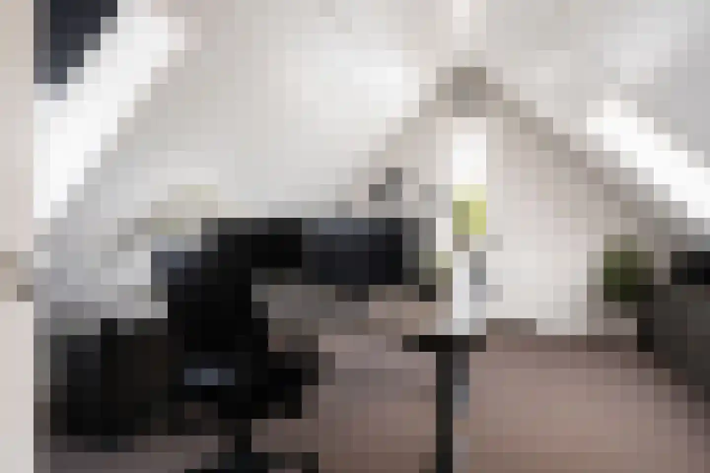 Stobbenakker 32 Twello thumbnail 39