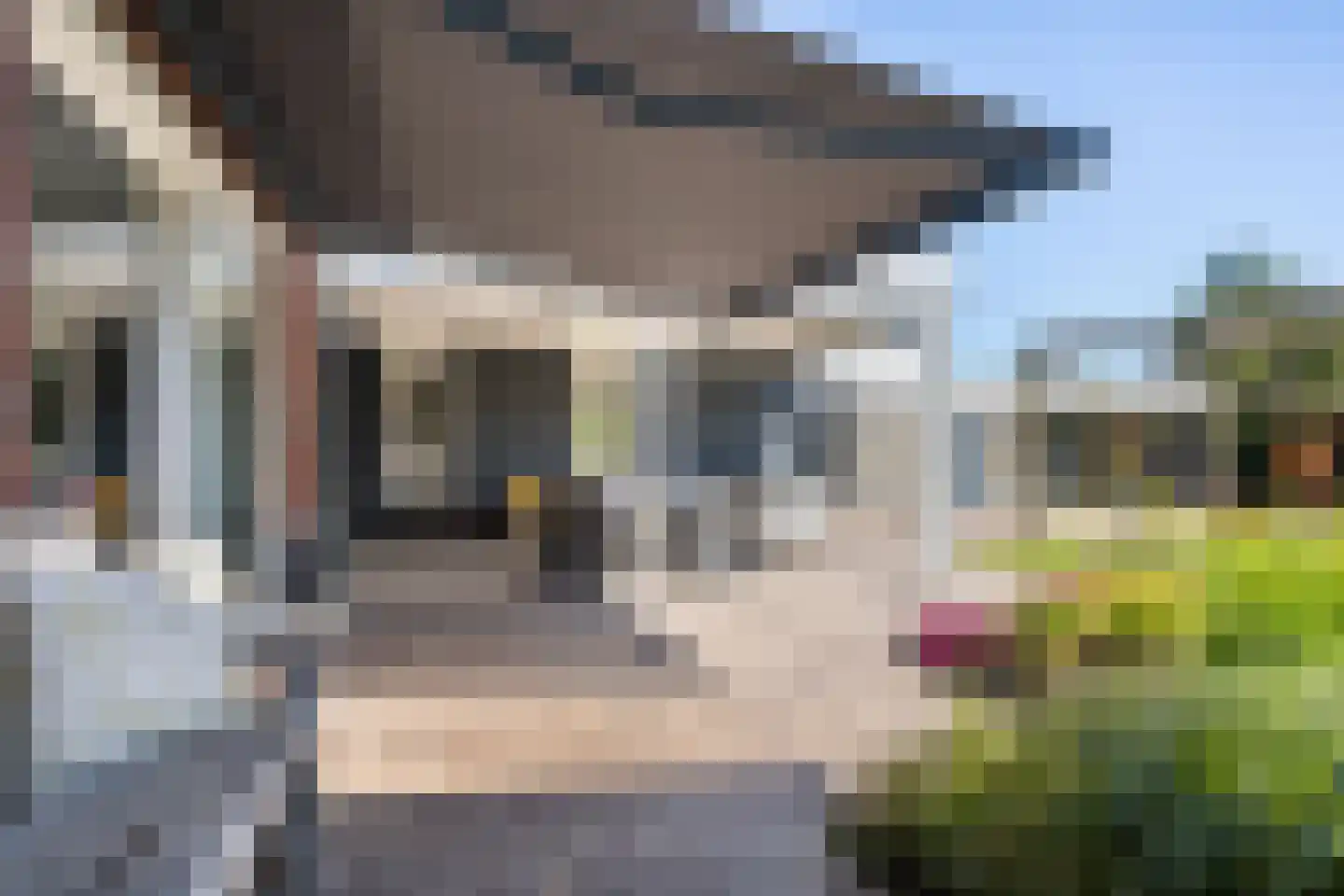 Stobbenakker 32 Twello thumbnail 43
