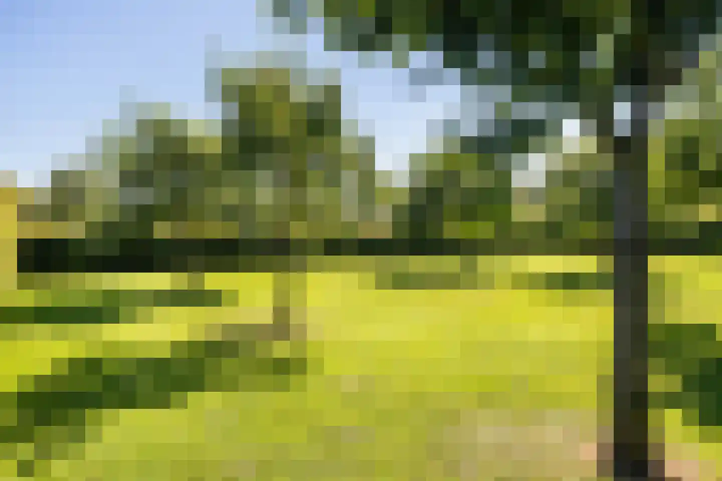Stobbenakker 32 Twello thumbnail 50