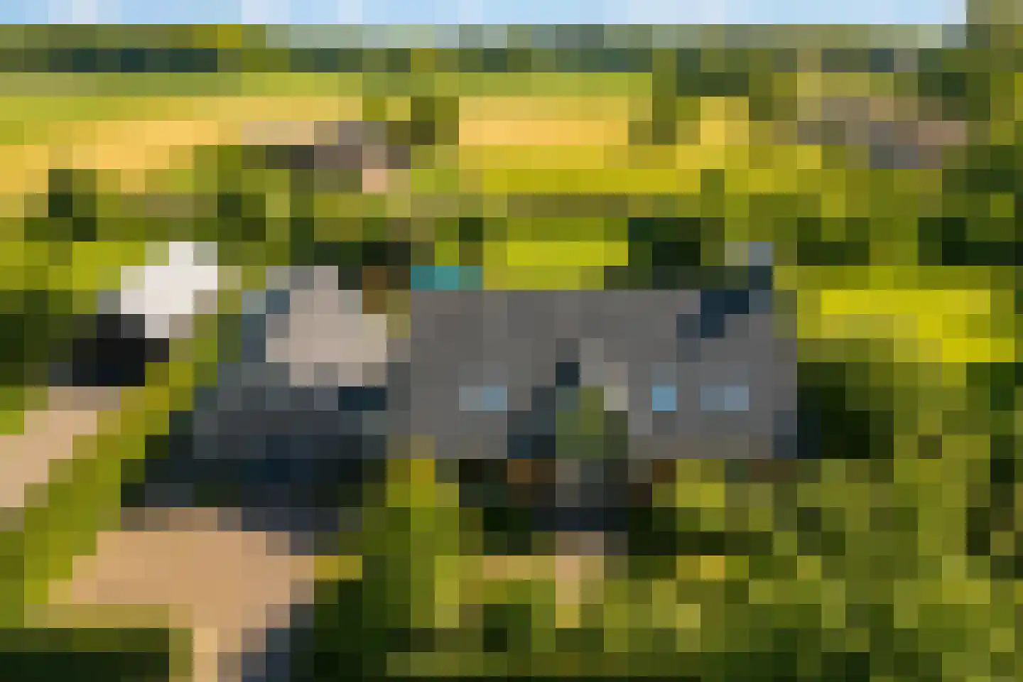 Stobbenakker 32 Twello thumbnail 56