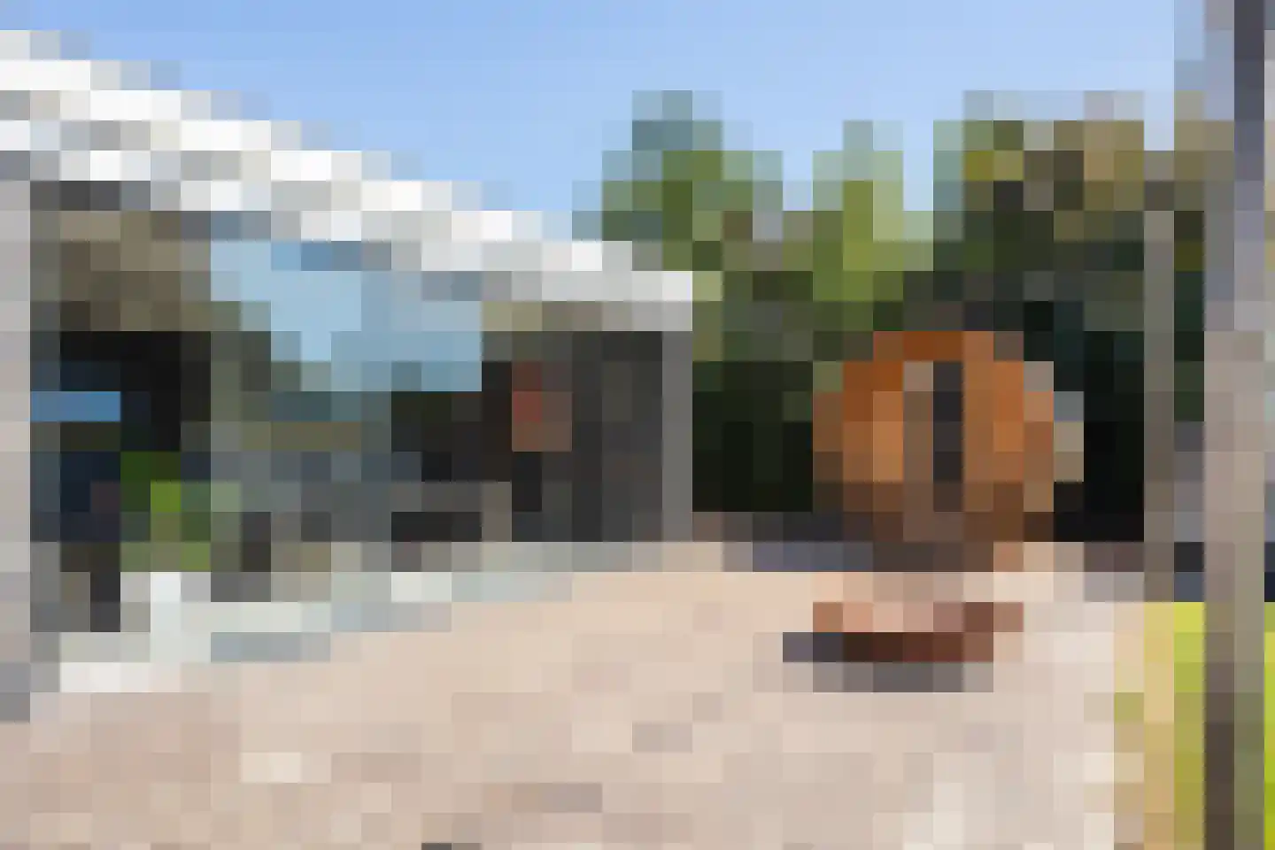 Stobbenakker 32 Twello thumbnail 7