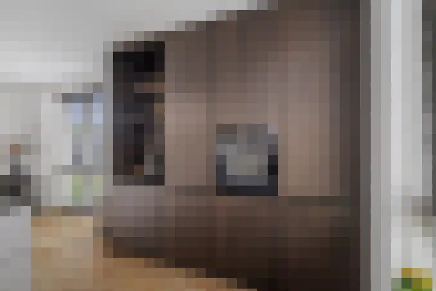 Stobbenakker 49 Twello thumbnail 17