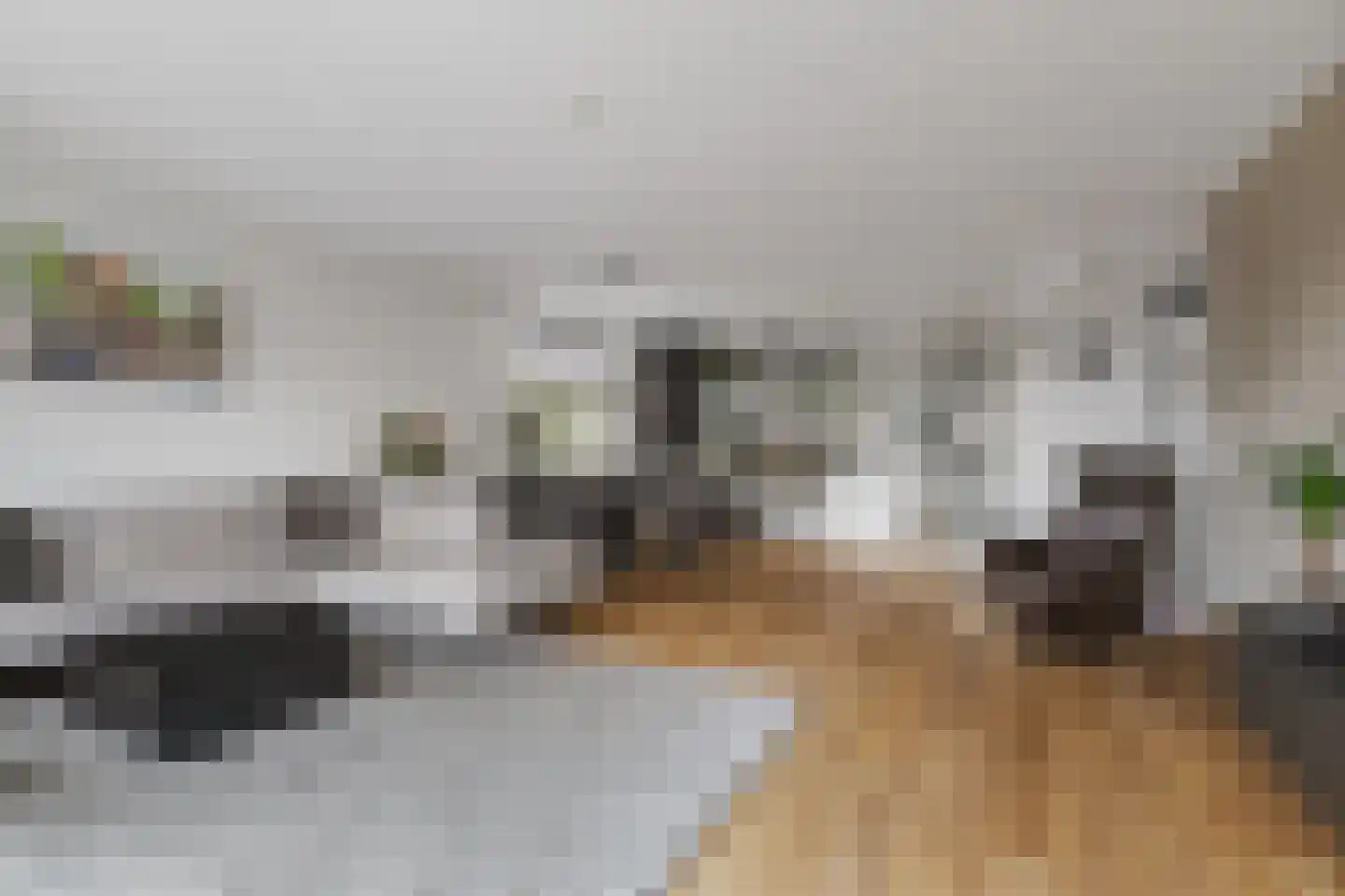 Stobbenakker 49 Twello thumbnail 4