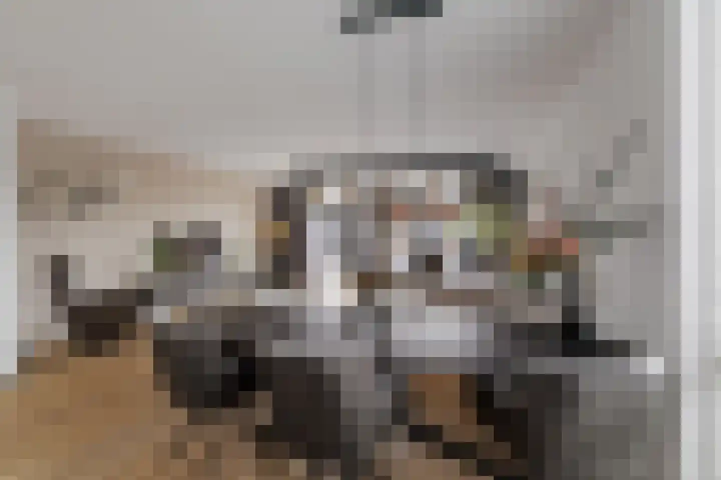 Stobbenakker 49 Twello thumbnail 5