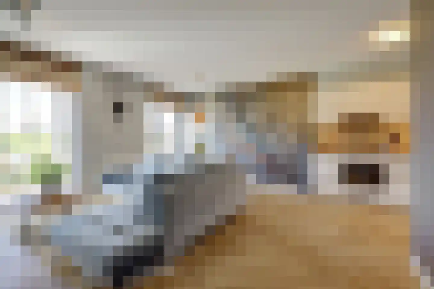 Stobbenakker 53 Twello thumbnail 9