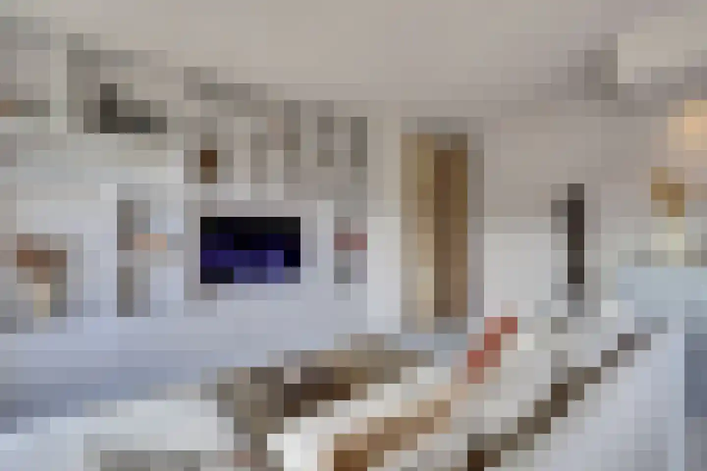 Stobbenakker 73 Twello thumbnail 10