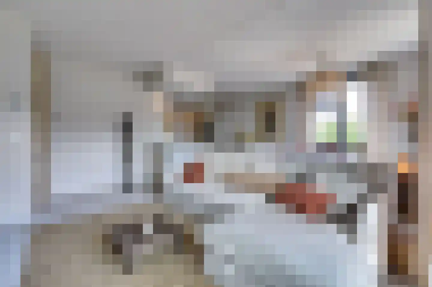 Stobbenakker 73 Twello thumbnail 12