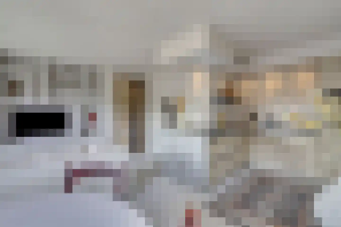 Stobbenakker 73 Twello thumbnail 15