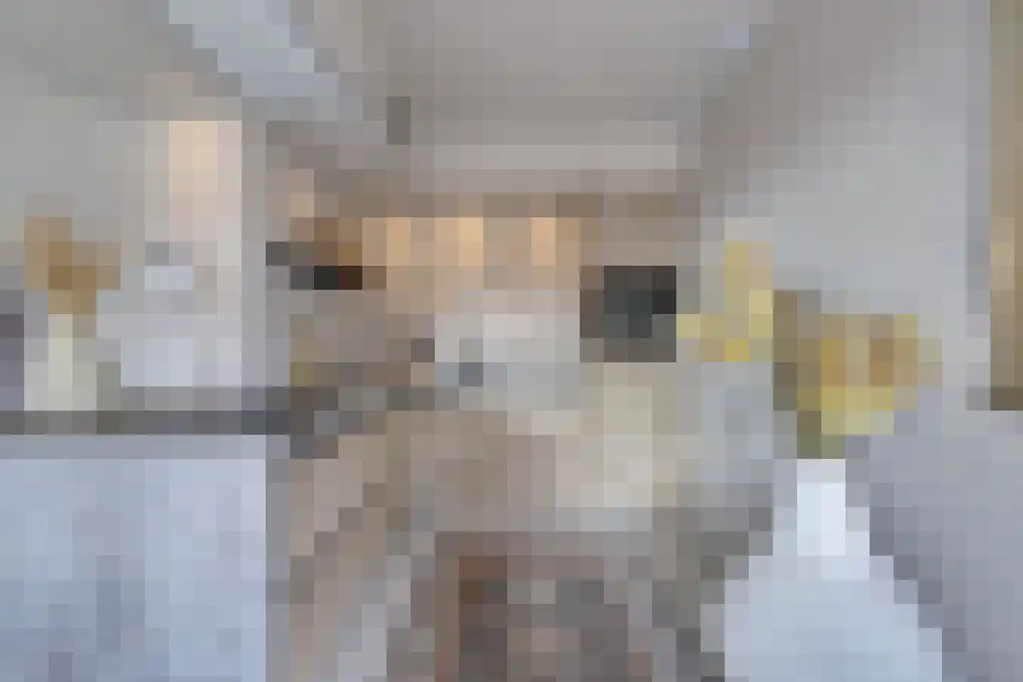 Stobbenakker 73 Twello thumbnail 18