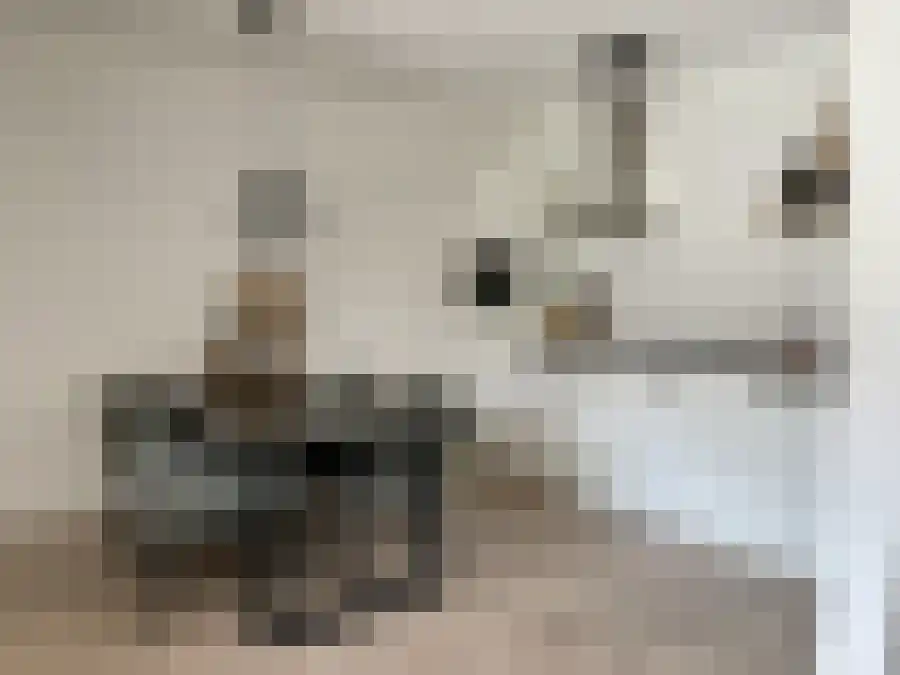 Stobbenakker 97 Twello thumbnail 6